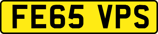 FE65VPS