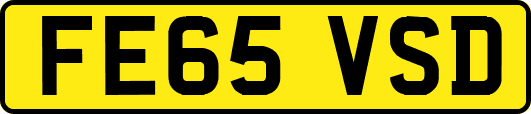 FE65VSD