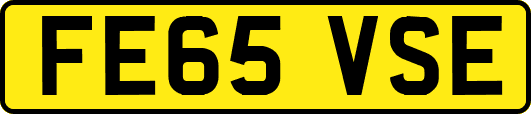 FE65VSE
