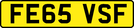 FE65VSF