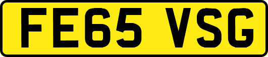 FE65VSG