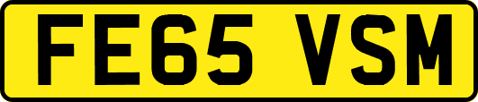 FE65VSM