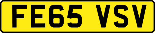 FE65VSV