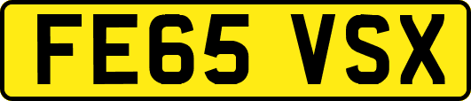 FE65VSX