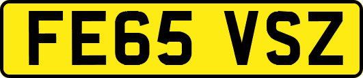 FE65VSZ