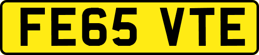 FE65VTE
