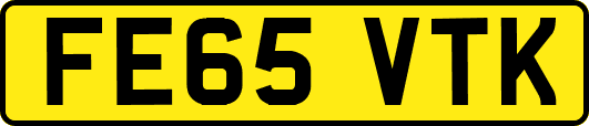 FE65VTK