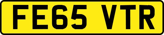 FE65VTR
