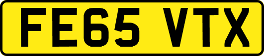 FE65VTX