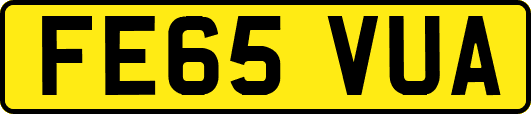 FE65VUA