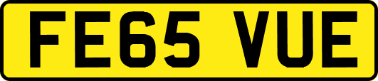 FE65VUE
