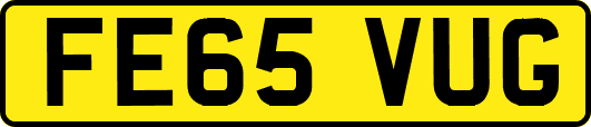 FE65VUG