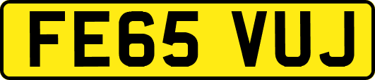 FE65VUJ