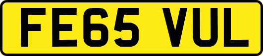 FE65VUL