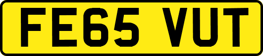 FE65VUT