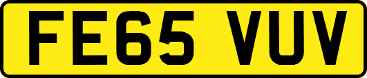 FE65VUV