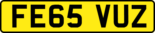FE65VUZ