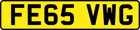 FE65VWG