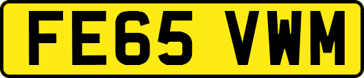 FE65VWM