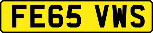 FE65VWS