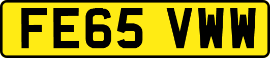 FE65VWW