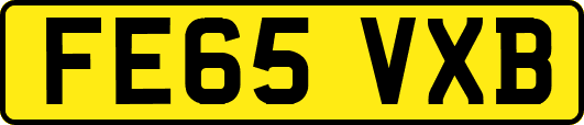 FE65VXB