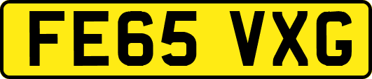 FE65VXG