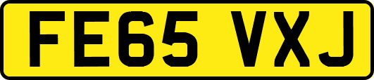 FE65VXJ
