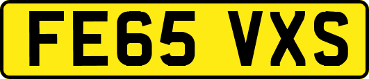 FE65VXS