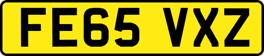 FE65VXZ