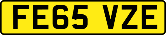 FE65VZE