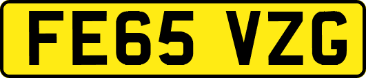 FE65VZG