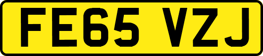 FE65VZJ