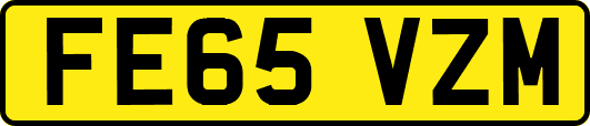 FE65VZM