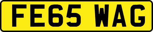 FE65WAG