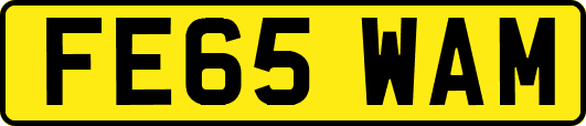 FE65WAM