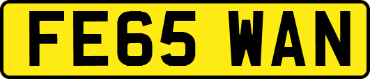 FE65WAN
