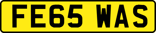 FE65WAS