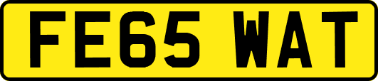 FE65WAT