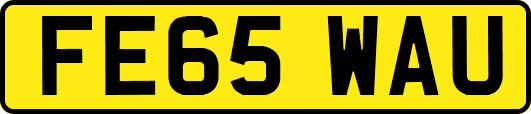 FE65WAU