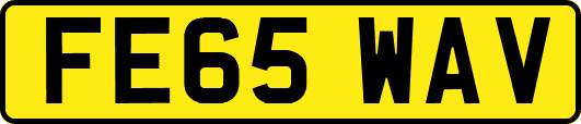 FE65WAV
