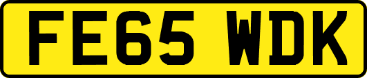 FE65WDK