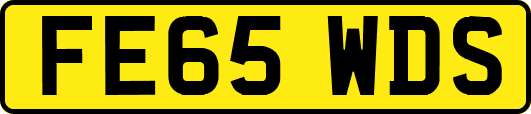 FE65WDS