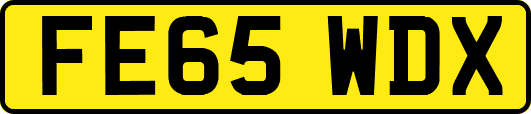 FE65WDX