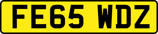 FE65WDZ