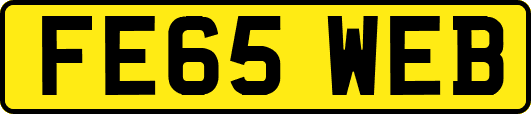 FE65WEB