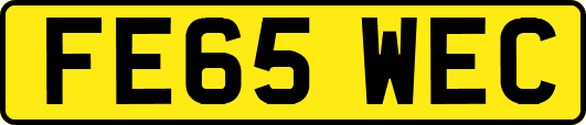 FE65WEC