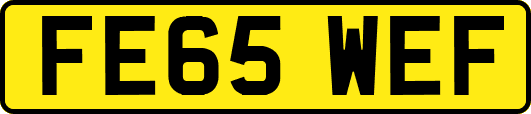 FE65WEF