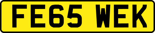 FE65WEK