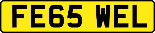 FE65WEL